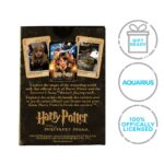 Harry Potter Playing Cards - Harry Potter and the Sorcerer's Stone 6