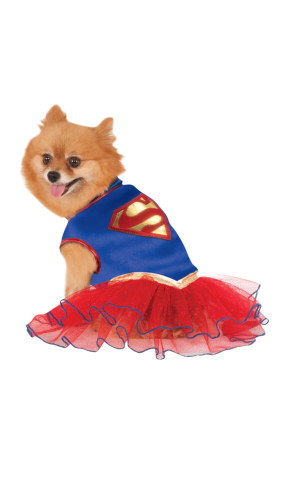 Supergirl Hunddräkt 1
